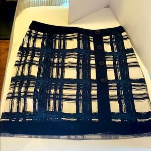 Ann Taylor Skirt